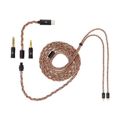 Time Link - IEM Cable System